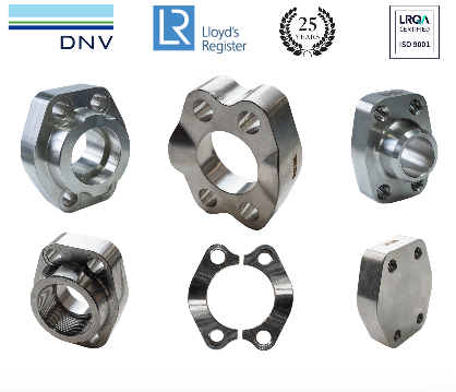 Stainless Steel Flanges